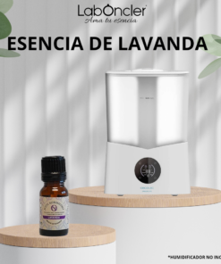 Ambientador - Esencias Humidificador - Aceite Esencia Lavanda Concentrada