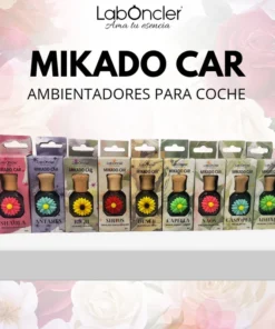 Laboncler - AMBIENTADOR COCHE Mikado-Car